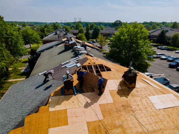 Trusted Roof Replacement service in Riley, OR - Brentwood Metal Roofing